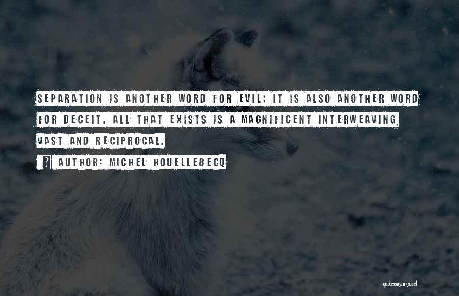 Michel Houellebecq Quotes: Separation Is Another Word For Evil; It Is Also Another Word For Deceit. All That Exists Is A Magnificent Interweaving,