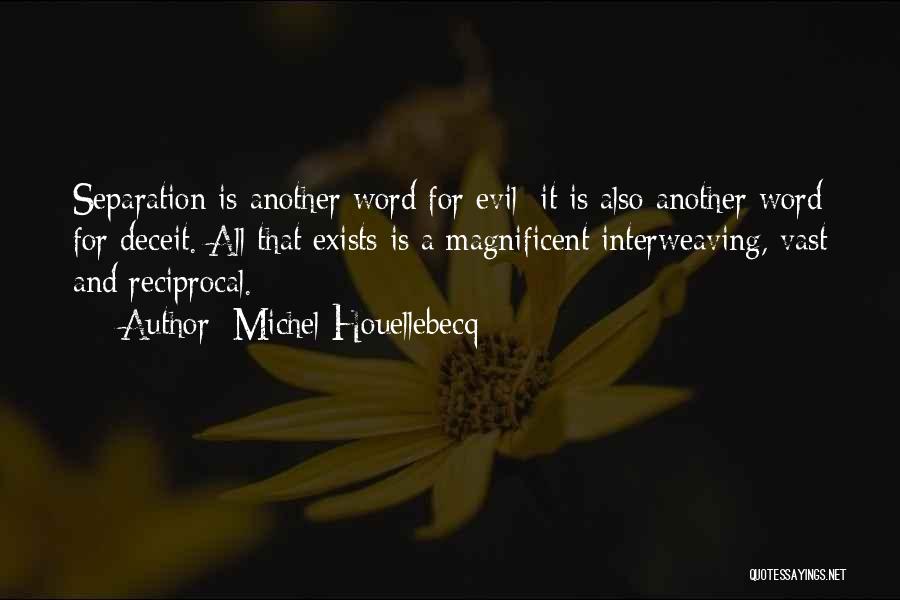 Michel Houellebecq Quotes: Separation Is Another Word For Evil; It Is Also Another Word For Deceit. All That Exists Is A Magnificent Interweaving,