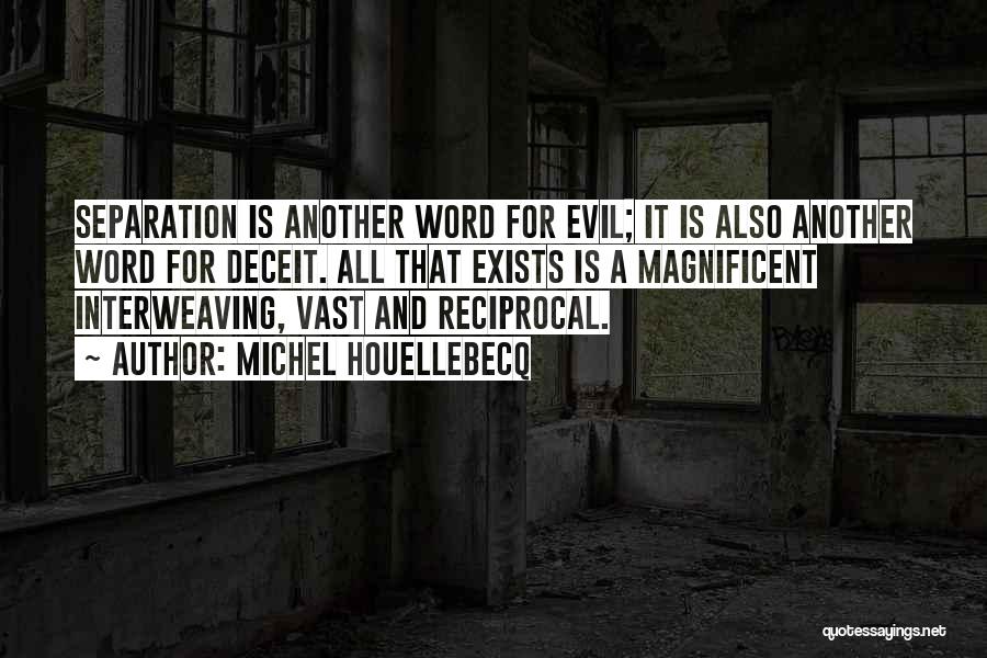 Michel Houellebecq Quotes: Separation Is Another Word For Evil; It Is Also Another Word For Deceit. All That Exists Is A Magnificent Interweaving,