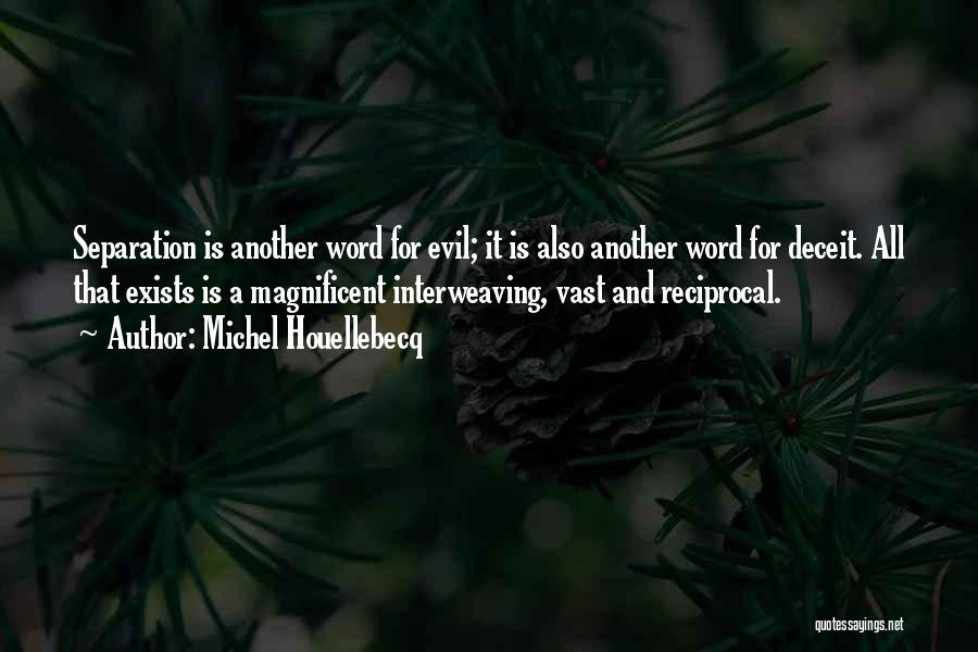 Michel Houellebecq Quotes: Separation Is Another Word For Evil; It Is Also Another Word For Deceit. All That Exists Is A Magnificent Interweaving,