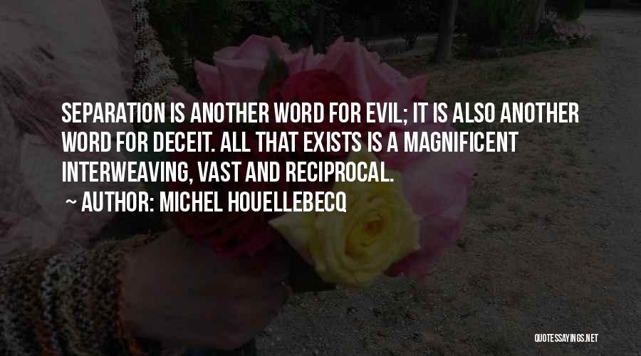 Michel Houellebecq Quotes: Separation Is Another Word For Evil; It Is Also Another Word For Deceit. All That Exists Is A Magnificent Interweaving,