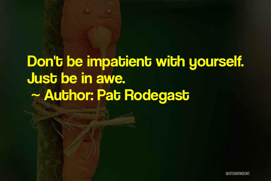 Pat Rodegast Quotes: Don't Be Impatient With Yourself. Just Be In Awe.