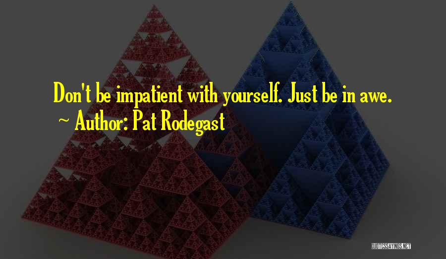 Pat Rodegast Quotes: Don't Be Impatient With Yourself. Just Be In Awe.