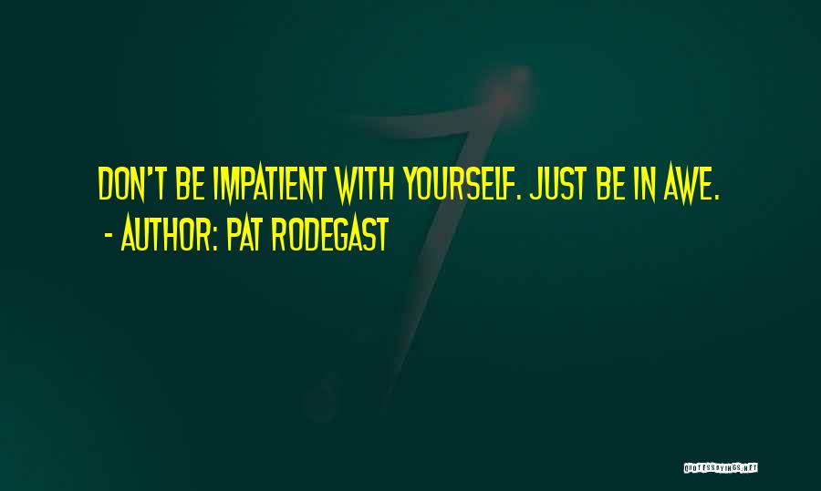 Pat Rodegast Quotes: Don't Be Impatient With Yourself. Just Be In Awe.