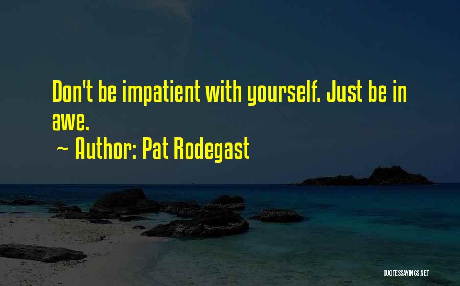 Pat Rodegast Quotes: Don't Be Impatient With Yourself. Just Be In Awe.