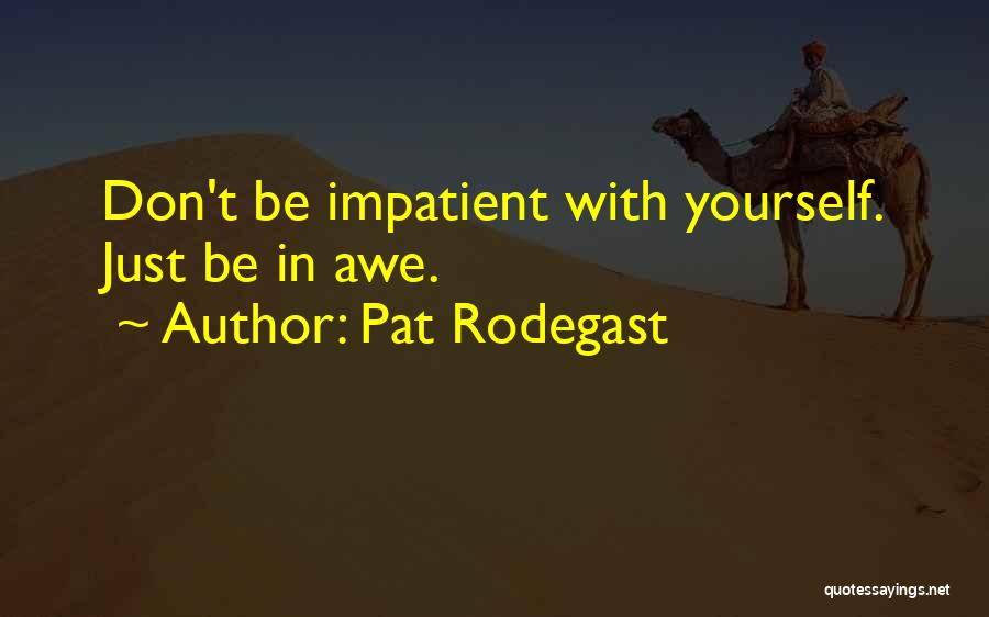 Pat Rodegast Quotes: Don't Be Impatient With Yourself. Just Be In Awe.