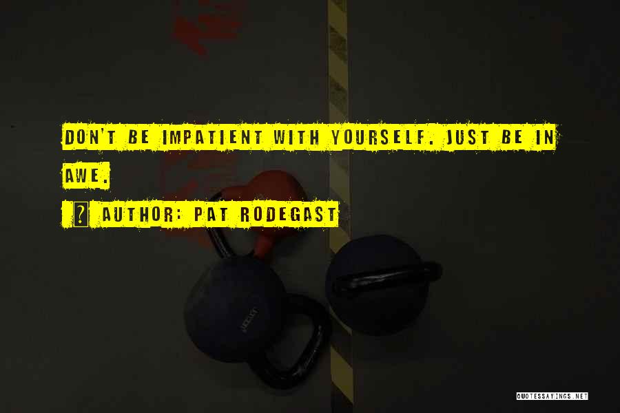 Pat Rodegast Quotes: Don't Be Impatient With Yourself. Just Be In Awe.