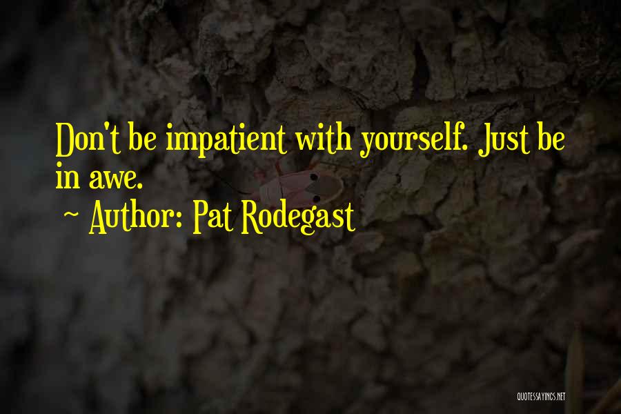 Pat Rodegast Quotes: Don't Be Impatient With Yourself. Just Be In Awe.