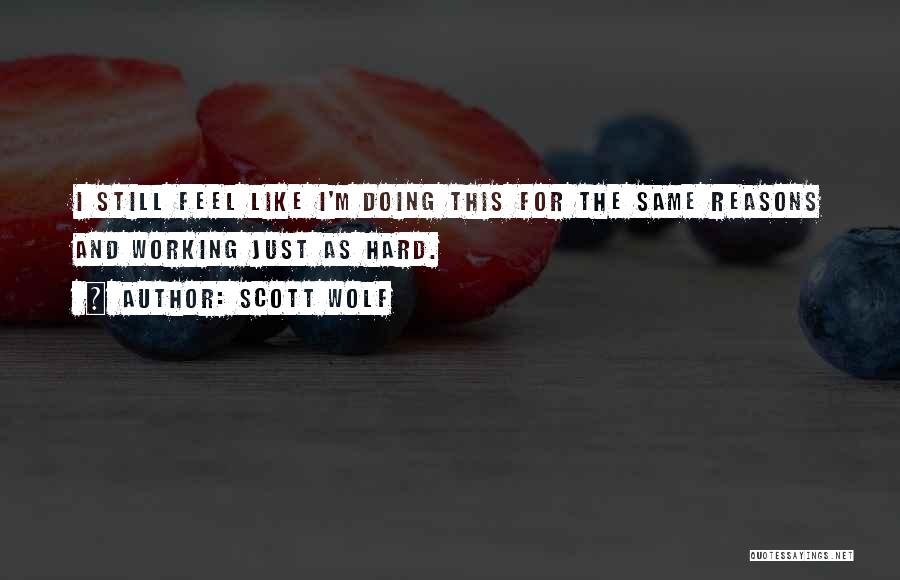 Scott Wolf Quotes: I Still Feel Like I'm Doing This For The Same Reasons And Working Just As Hard.