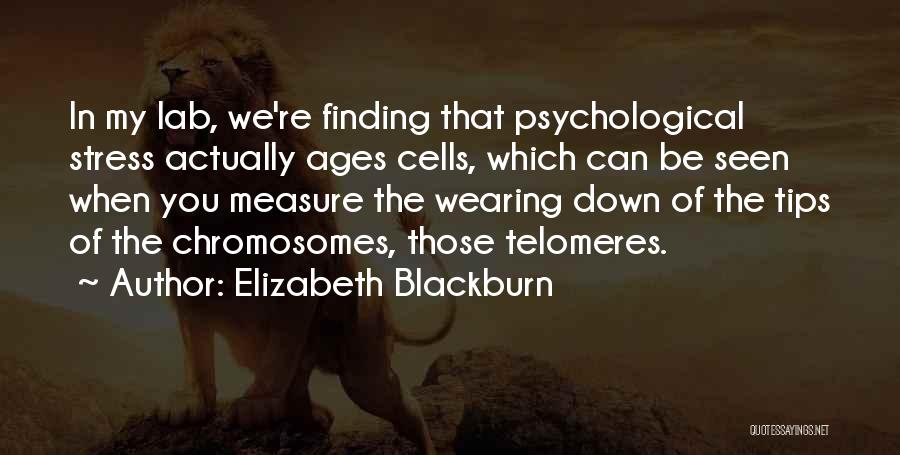Elizabeth Blackburn Quotes: In My Lab, We're Finding That Psychological Stress Actually Ages Cells, Which Can Be Seen When You Measure The Wearing