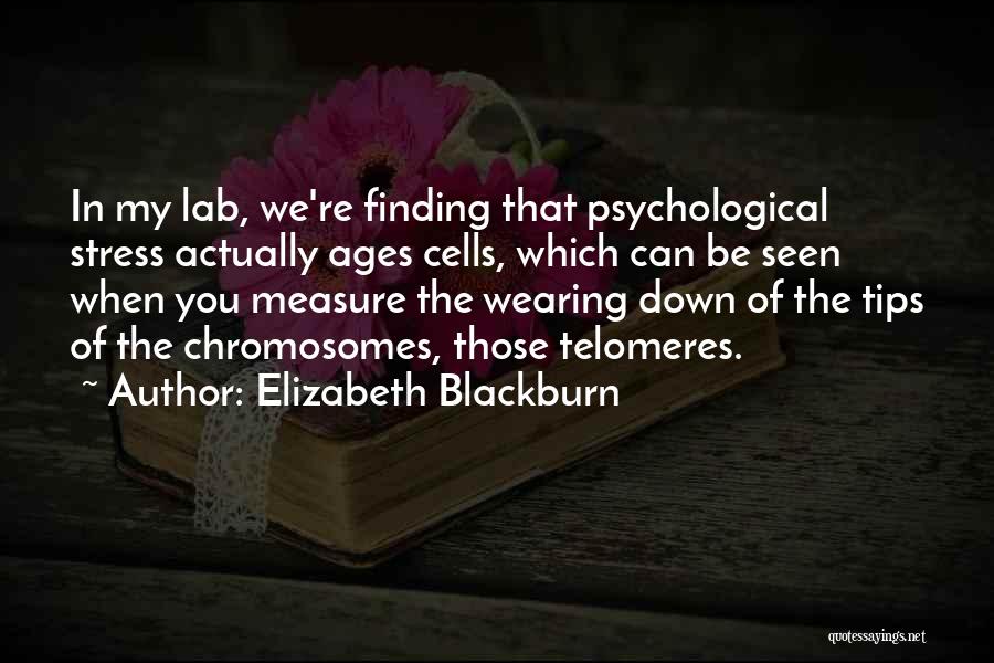 Elizabeth Blackburn Quotes: In My Lab, We're Finding That Psychological Stress Actually Ages Cells, Which Can Be Seen When You Measure The Wearing