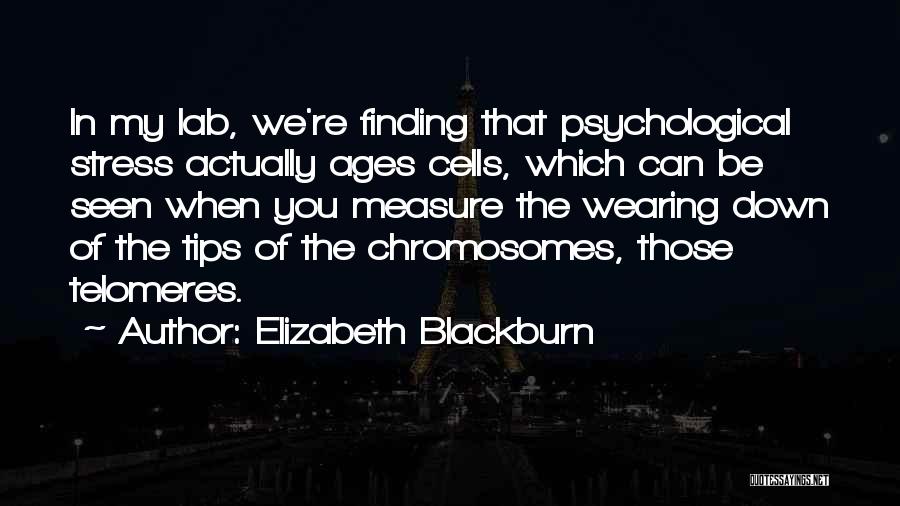 Elizabeth Blackburn Quotes: In My Lab, We're Finding That Psychological Stress Actually Ages Cells, Which Can Be Seen When You Measure The Wearing