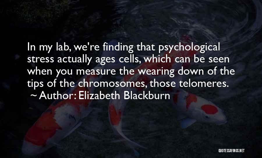 Elizabeth Blackburn Quotes: In My Lab, We're Finding That Psychological Stress Actually Ages Cells, Which Can Be Seen When You Measure The Wearing