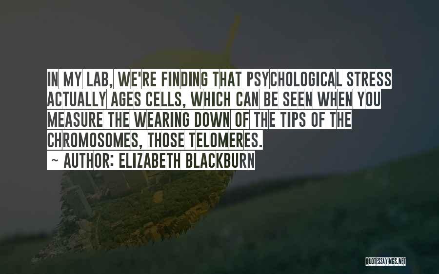 Elizabeth Blackburn Quotes: In My Lab, We're Finding That Psychological Stress Actually Ages Cells, Which Can Be Seen When You Measure The Wearing