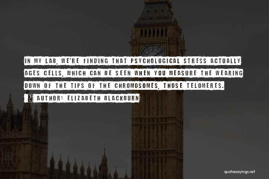 Elizabeth Blackburn Quotes: In My Lab, We're Finding That Psychological Stress Actually Ages Cells, Which Can Be Seen When You Measure The Wearing