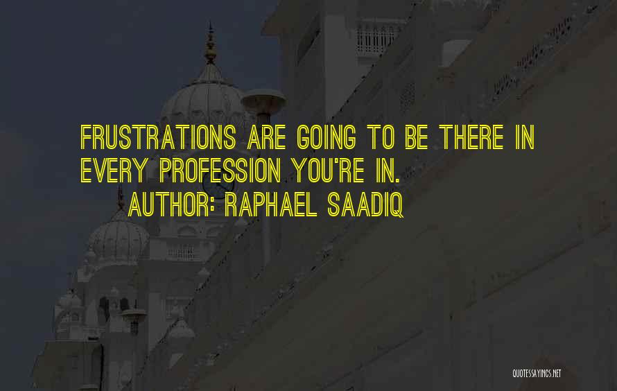 Raphael Saadiq Quotes: Frustrations Are Going To Be There In Every Profession You're In.