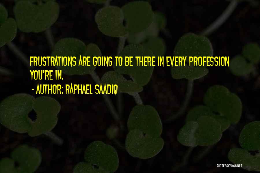 Raphael Saadiq Quotes: Frustrations Are Going To Be There In Every Profession You're In.