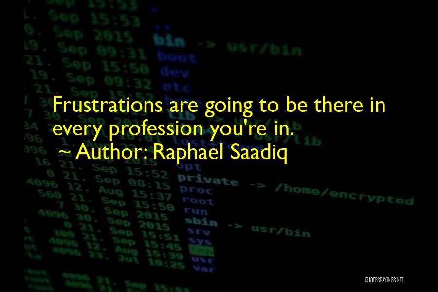 Raphael Saadiq Quotes: Frustrations Are Going To Be There In Every Profession You're In.