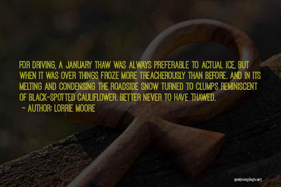 Lorrie Moore Quotes: For Driving, A January Thaw Was Always Preferable To Actual Ice, But When It Was Over Things Froze More Treacherously