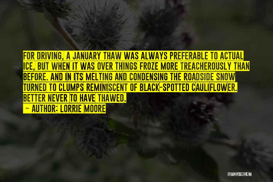 Lorrie Moore Quotes: For Driving, A January Thaw Was Always Preferable To Actual Ice, But When It Was Over Things Froze More Treacherously