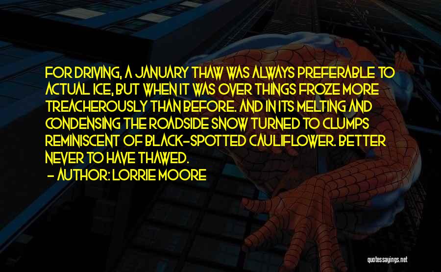 Lorrie Moore Quotes: For Driving, A January Thaw Was Always Preferable To Actual Ice, But When It Was Over Things Froze More Treacherously