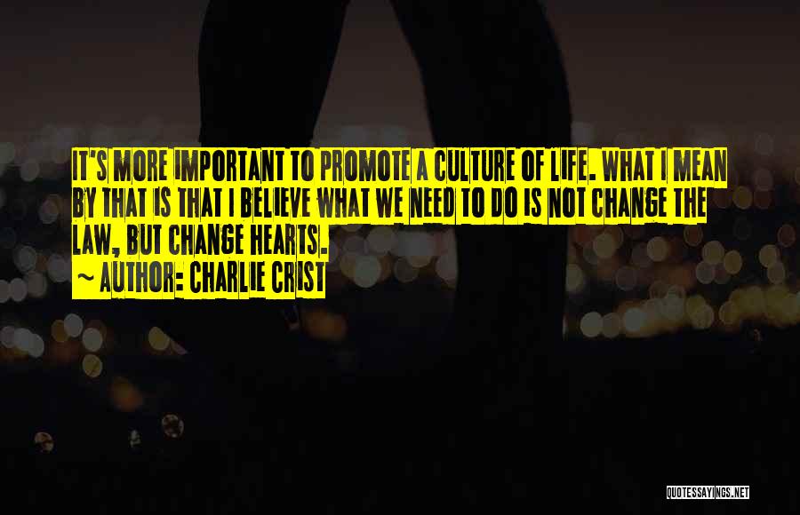 Charlie Crist Quotes: It's More Important To Promote A Culture Of Life. What I Mean By That Is That I Believe What We