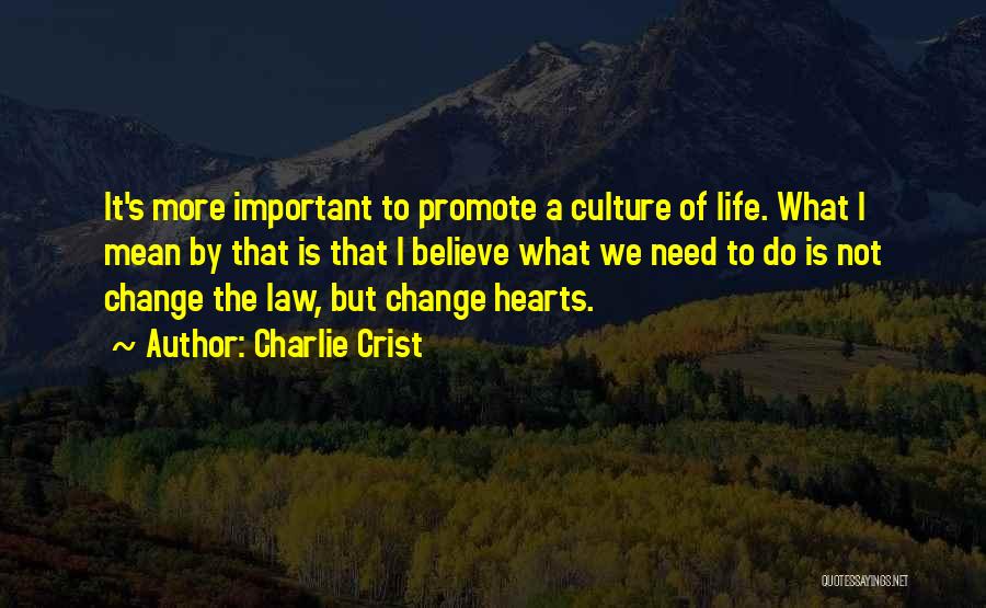 Charlie Crist Quotes: It's More Important To Promote A Culture Of Life. What I Mean By That Is That I Believe What We