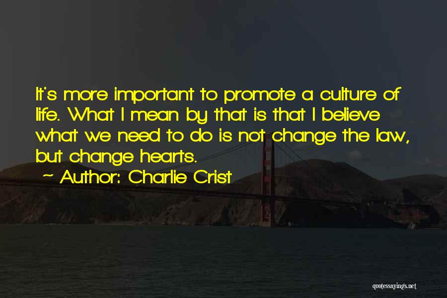 Charlie Crist Quotes: It's More Important To Promote A Culture Of Life. What I Mean By That Is That I Believe What We