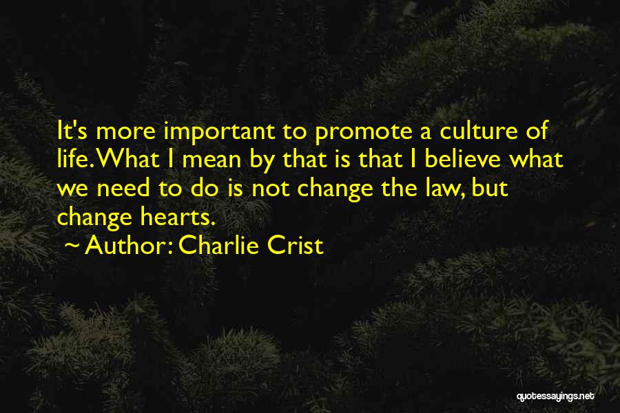 Charlie Crist Quotes: It's More Important To Promote A Culture Of Life. What I Mean By That Is That I Believe What We