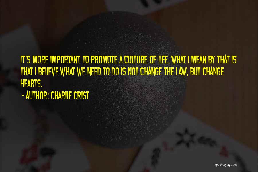 Charlie Crist Quotes: It's More Important To Promote A Culture Of Life. What I Mean By That Is That I Believe What We