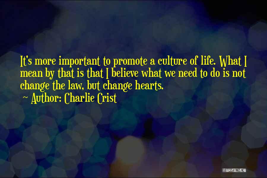 Charlie Crist Quotes: It's More Important To Promote A Culture Of Life. What I Mean By That Is That I Believe What We