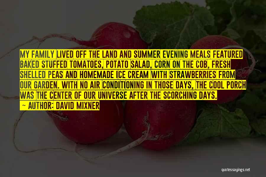 David Mixner Quotes: My Family Lived Off The Land And Summer Evening Meals Featured Baked Stuffed Tomatoes, Potato Salad, Corn On The Cob,