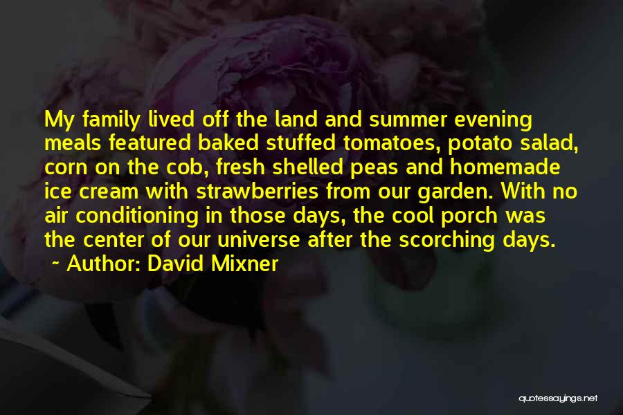 David Mixner Quotes: My Family Lived Off The Land And Summer Evening Meals Featured Baked Stuffed Tomatoes, Potato Salad, Corn On The Cob,
