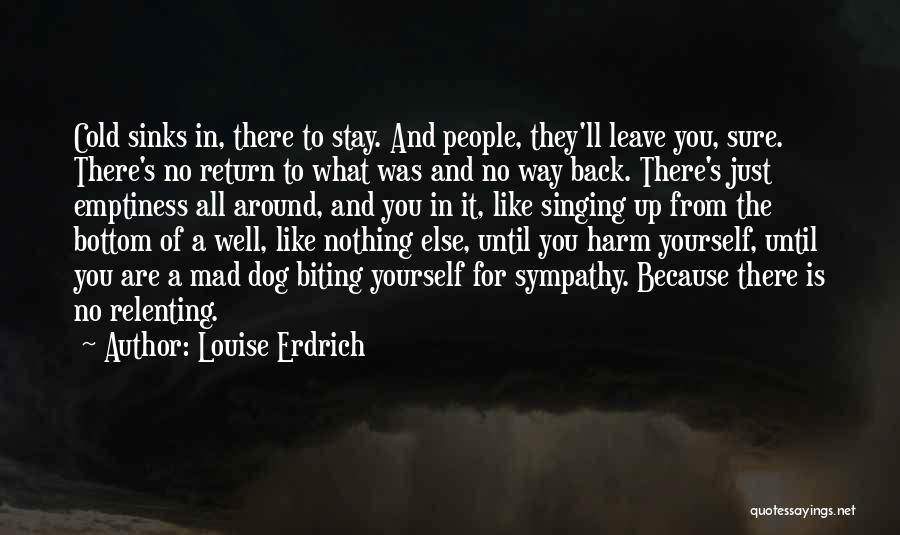 Louise Erdrich Quotes: Cold Sinks In, There To Stay. And People, They'll Leave You, Sure. There's No Return To What Was And No