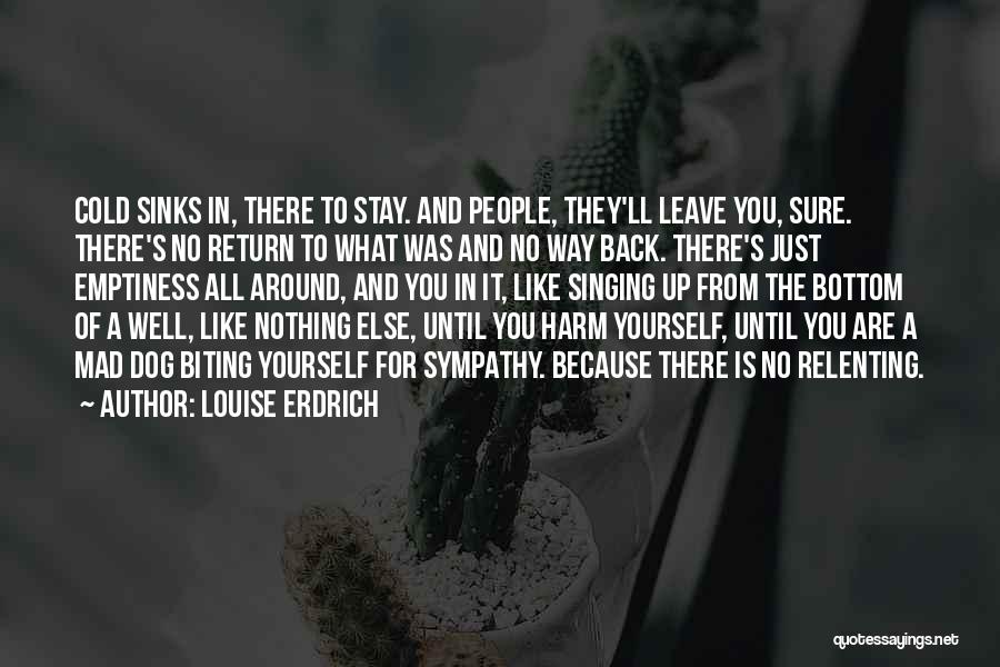 Louise Erdrich Quotes: Cold Sinks In, There To Stay. And People, They'll Leave You, Sure. There's No Return To What Was And No