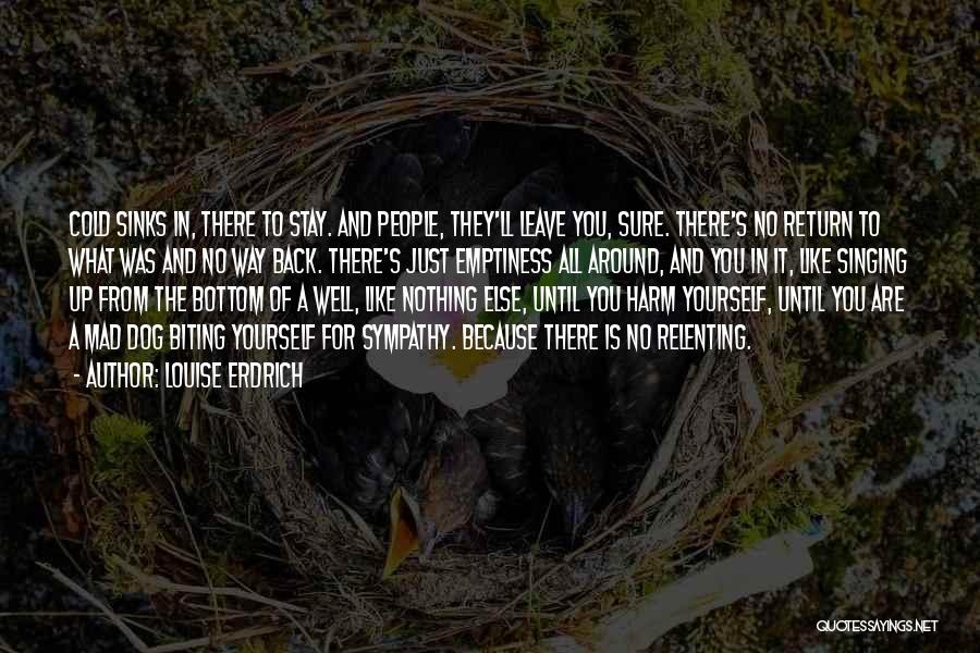Louise Erdrich Quotes: Cold Sinks In, There To Stay. And People, They'll Leave You, Sure. There's No Return To What Was And No
