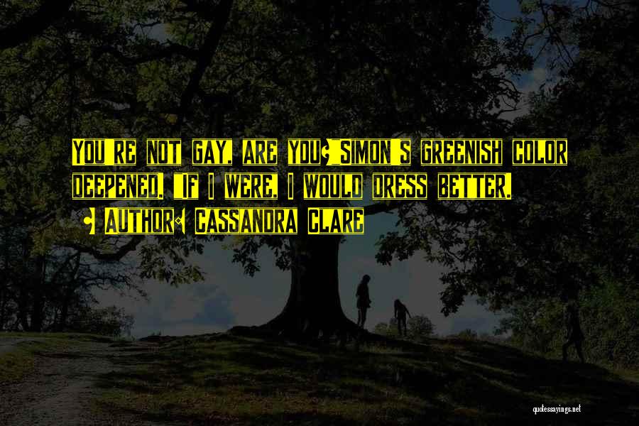 Cassandra Clare Quotes: You're Not Gay, Are You?simon's Greenish Color Deepened. If I Were, I Would Dress Better.