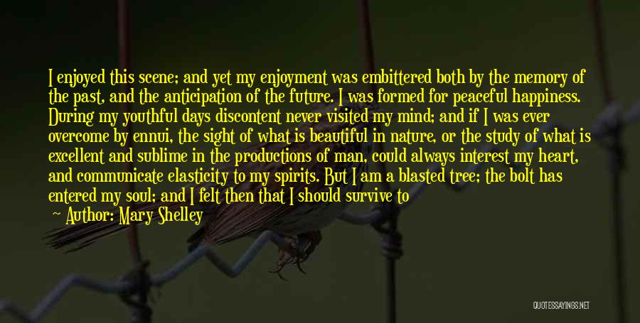 Mary Shelley Quotes: I Enjoyed This Scene; And Yet My Enjoyment Was Embittered Both By The Memory Of The Past, And The Anticipation