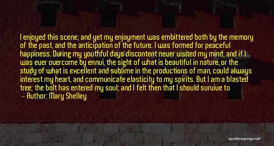 Mary Shelley Quotes: I Enjoyed This Scene; And Yet My Enjoyment Was Embittered Both By The Memory Of The Past, And The Anticipation