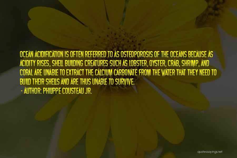 Philippe Cousteau Jr. Quotes: Ocean Acidification Is Often Referred To As Osteoporosis Of The Oceans Because As Acidity Rises, Shell Building Creatures Such As