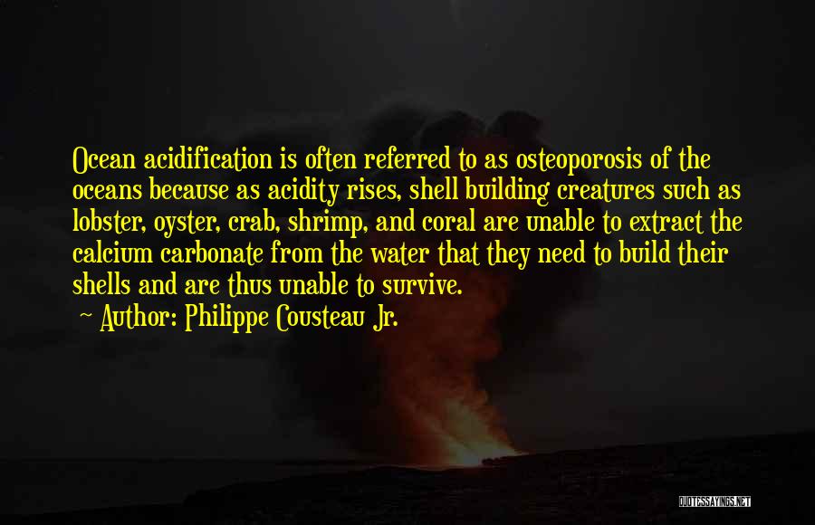 Philippe Cousteau Jr. Quotes: Ocean Acidification Is Often Referred To As Osteoporosis Of The Oceans Because As Acidity Rises, Shell Building Creatures Such As