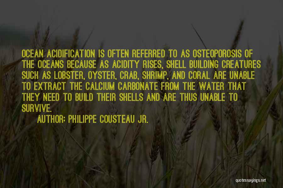 Philippe Cousteau Jr. Quotes: Ocean Acidification Is Often Referred To As Osteoporosis Of The Oceans Because As Acidity Rises, Shell Building Creatures Such As