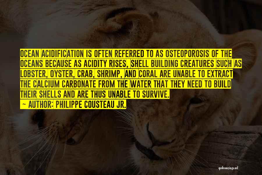 Philippe Cousteau Jr. Quotes: Ocean Acidification Is Often Referred To As Osteoporosis Of The Oceans Because As Acidity Rises, Shell Building Creatures Such As