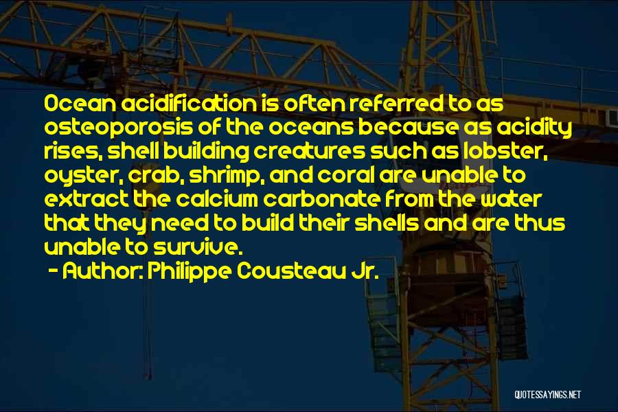 Philippe Cousteau Jr. Quotes: Ocean Acidification Is Often Referred To As Osteoporosis Of The Oceans Because As Acidity Rises, Shell Building Creatures Such As