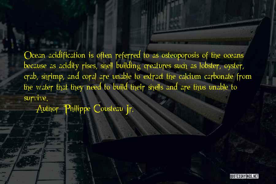 Philippe Cousteau Jr. Quotes: Ocean Acidification Is Often Referred To As Osteoporosis Of The Oceans Because As Acidity Rises, Shell Building Creatures Such As