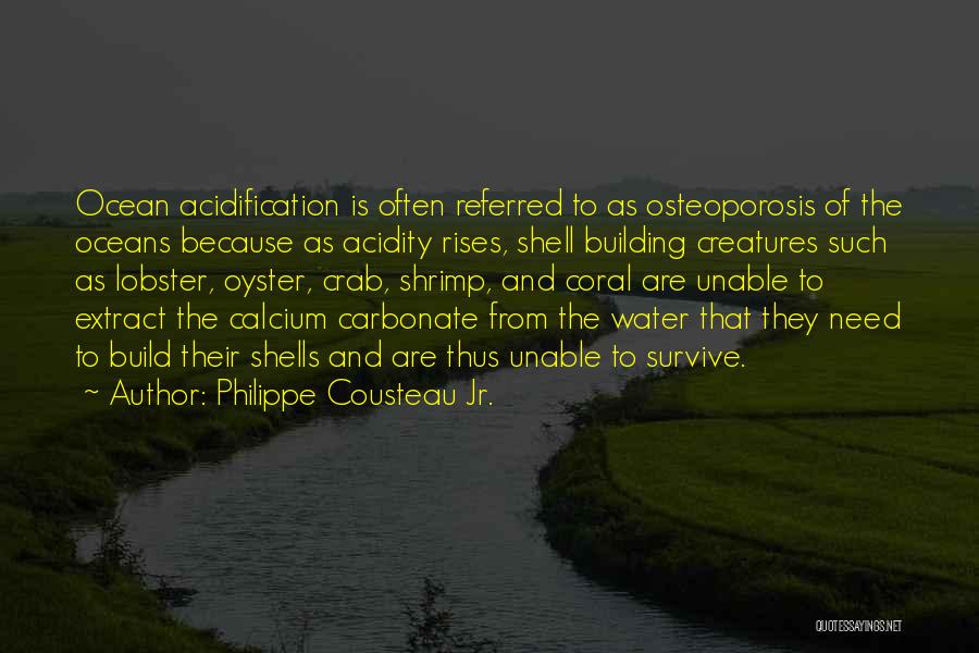 Philippe Cousteau Jr. Quotes: Ocean Acidification Is Often Referred To As Osteoporosis Of The Oceans Because As Acidity Rises, Shell Building Creatures Such As