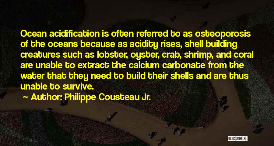 Philippe Cousteau Jr. Quotes: Ocean Acidification Is Often Referred To As Osteoporosis Of The Oceans Because As Acidity Rises, Shell Building Creatures Such As