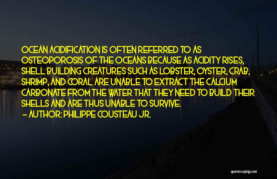 Philippe Cousteau Jr. Quotes: Ocean Acidification Is Often Referred To As Osteoporosis Of The Oceans Because As Acidity Rises, Shell Building Creatures Such As