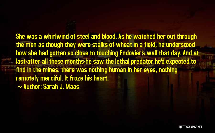 Sarah J. Maas Quotes: She Was A Whirlwind Of Steel And Blood. As He Watched Her Cut Through The Men As Though They Were
