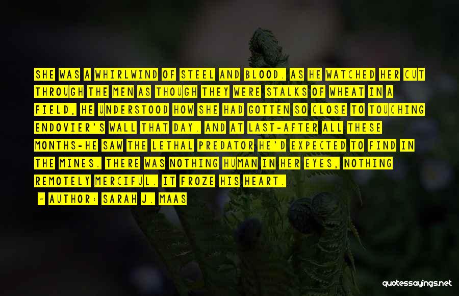 Sarah J. Maas Quotes: She Was A Whirlwind Of Steel And Blood. As He Watched Her Cut Through The Men As Though They Were